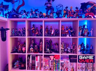 Anime and Game Collection
