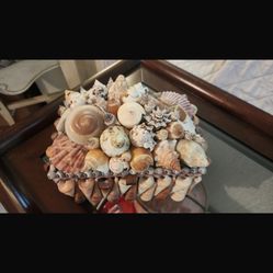 Hand Made Shell Box And Shells 