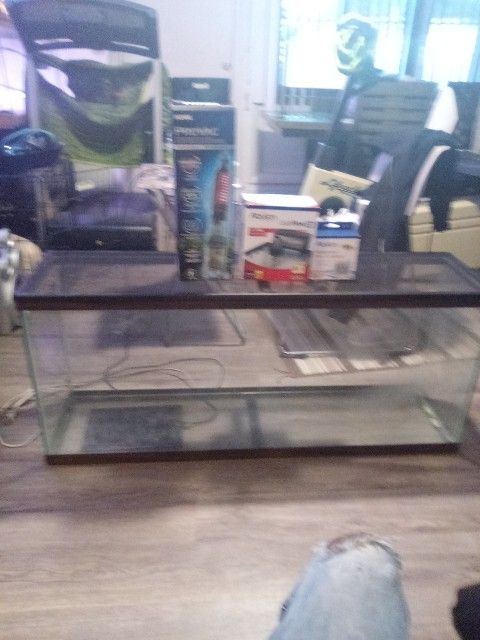 Fish Tank Key With A heat Paid
