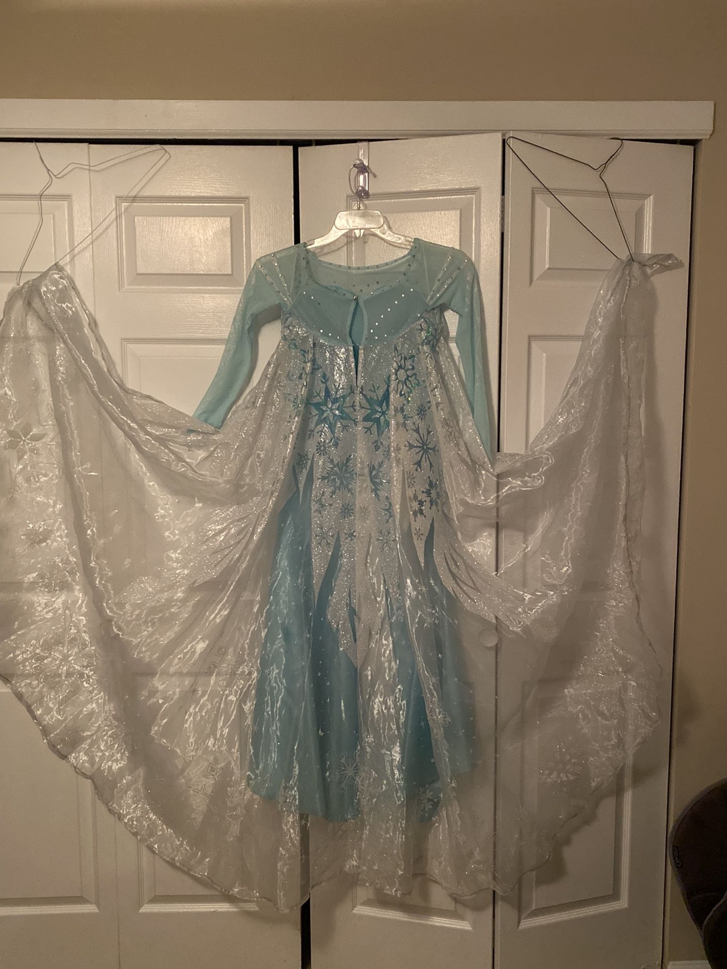 Disney Elsa Chasing Fireflies Costume
