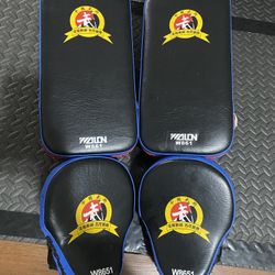 Boxing Pads & curved Mitts