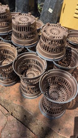 Premium 6" Raised-Center Hydroponic Net Pots - Mesh DWC Cups