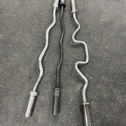 Olympic Curl Bars 