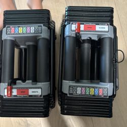 PowerBlock Adjustable Dumbbells – 15 to 90 lbs
