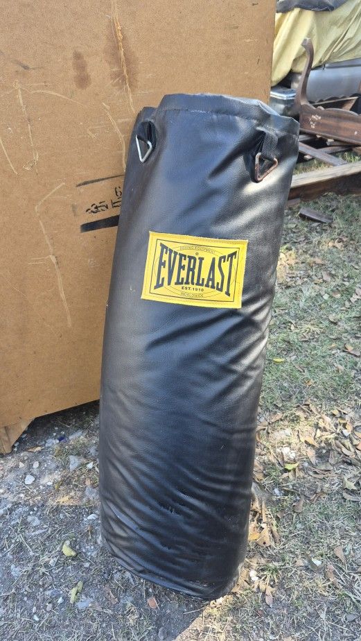 Everlast Punching Bag