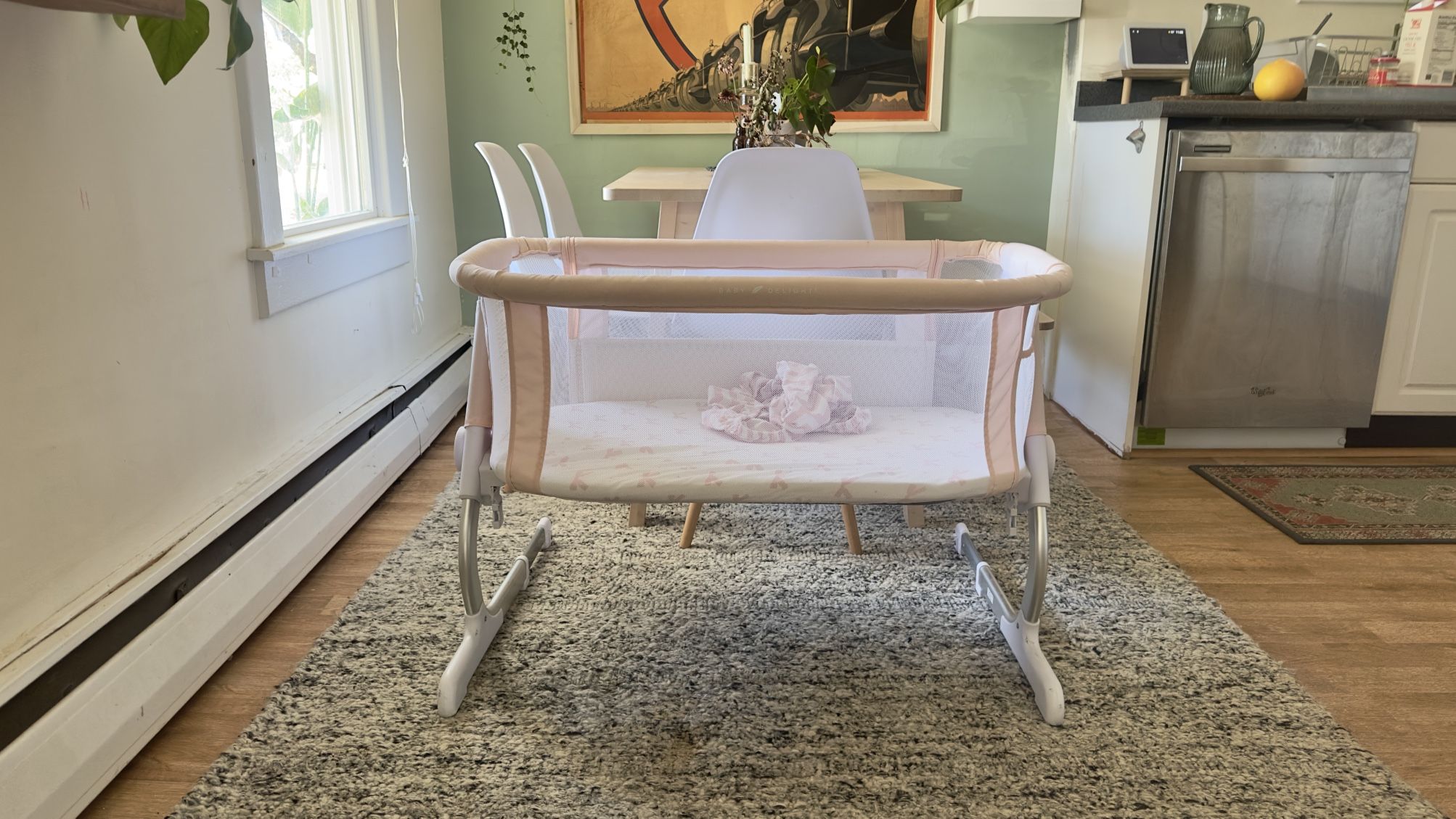 Baby Delight Bassinet