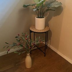 2 Faux plants 🪴 