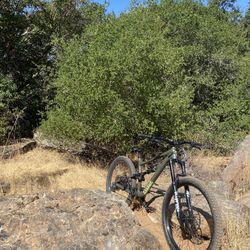 Specialized Status 140