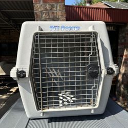 Dog Kennel 