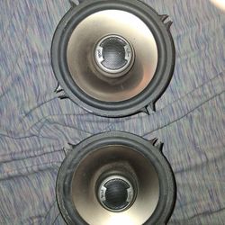 Polkaudio