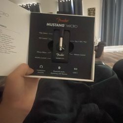 Mustang Micro 
