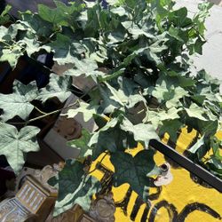 Artificial Plant &15