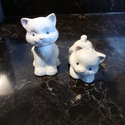 Salt And Pepper Shaker