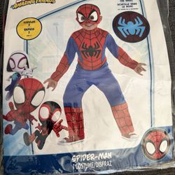 Spider-Man Costume