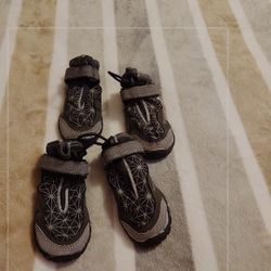 Dog Boots