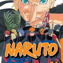 Naruto Volume 41
