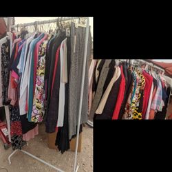 Woman's Clothing (Medium)