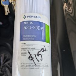 Pentair R30-20BB Polyester Filter Cartridge 