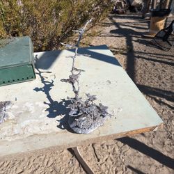 Aluminum-Tin Ant Mold