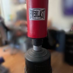 Everlast Punching Bag
