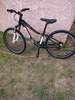 7 Speed 24 In Bike