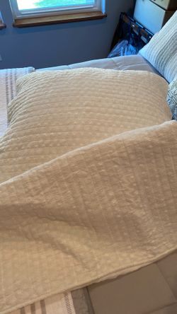 Pair of cream eyelet cotton  Euro shams