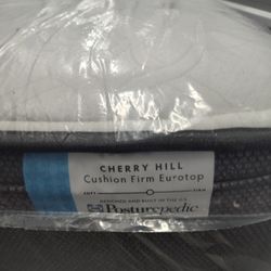 SEALY POSTERPUTIC 10" INCH MATTRESS MEDIUM 