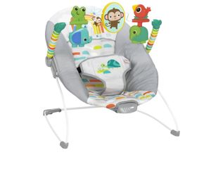 Baby Bouncer