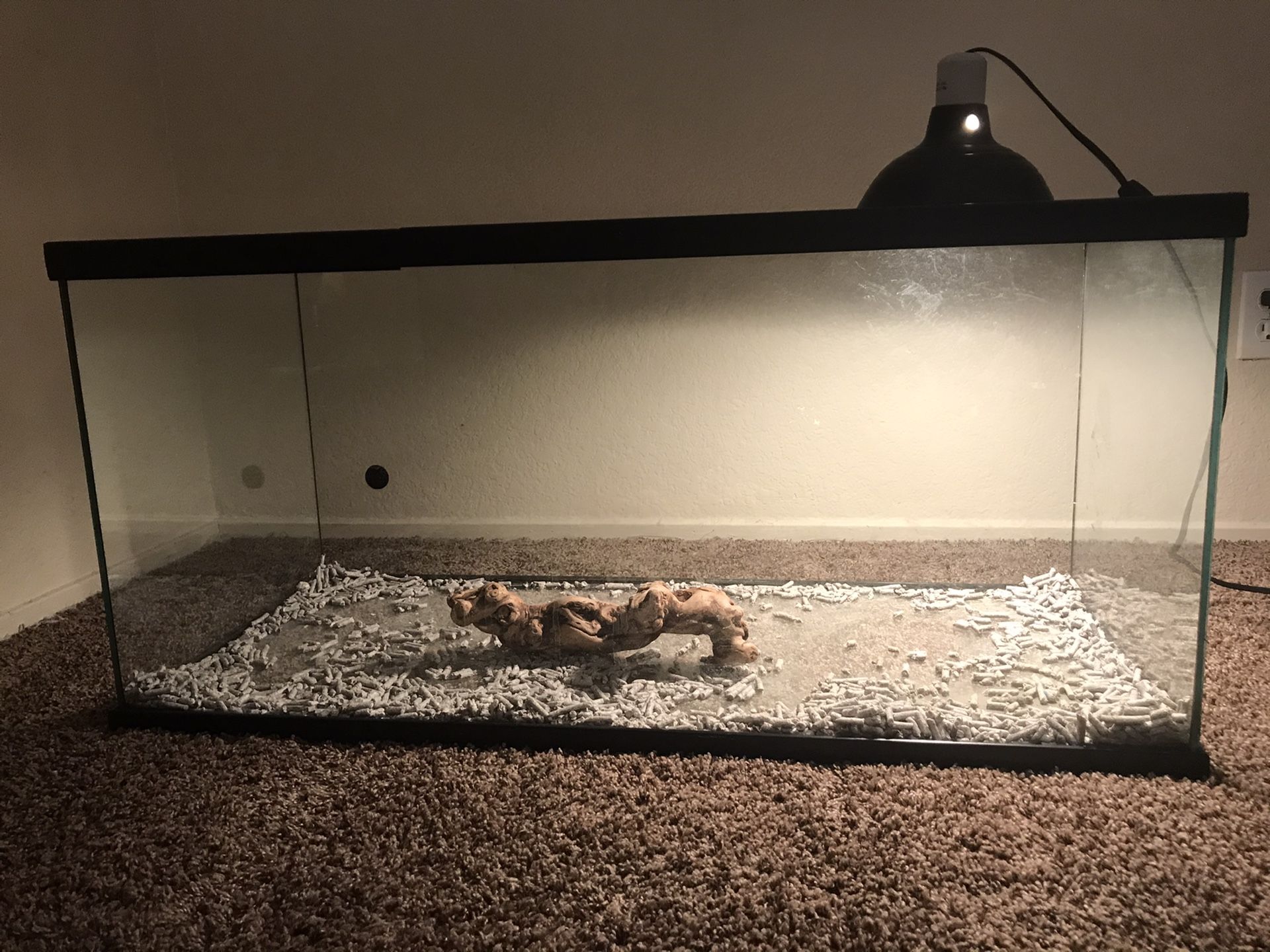 Reptile Tank + Heat Lamp + 2 Bulbs