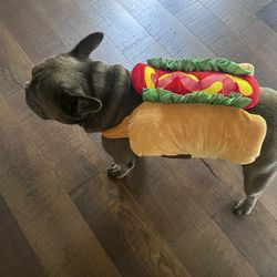 Dog Hot Dog Costume