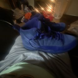 Blue Jordan 12