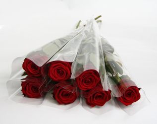 Single roses