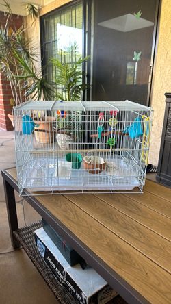 Birdcage