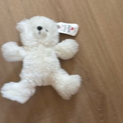 Polar Bear 