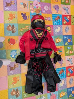 Ninjago costume legoland