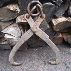 Antique Log/ Ice Tongs