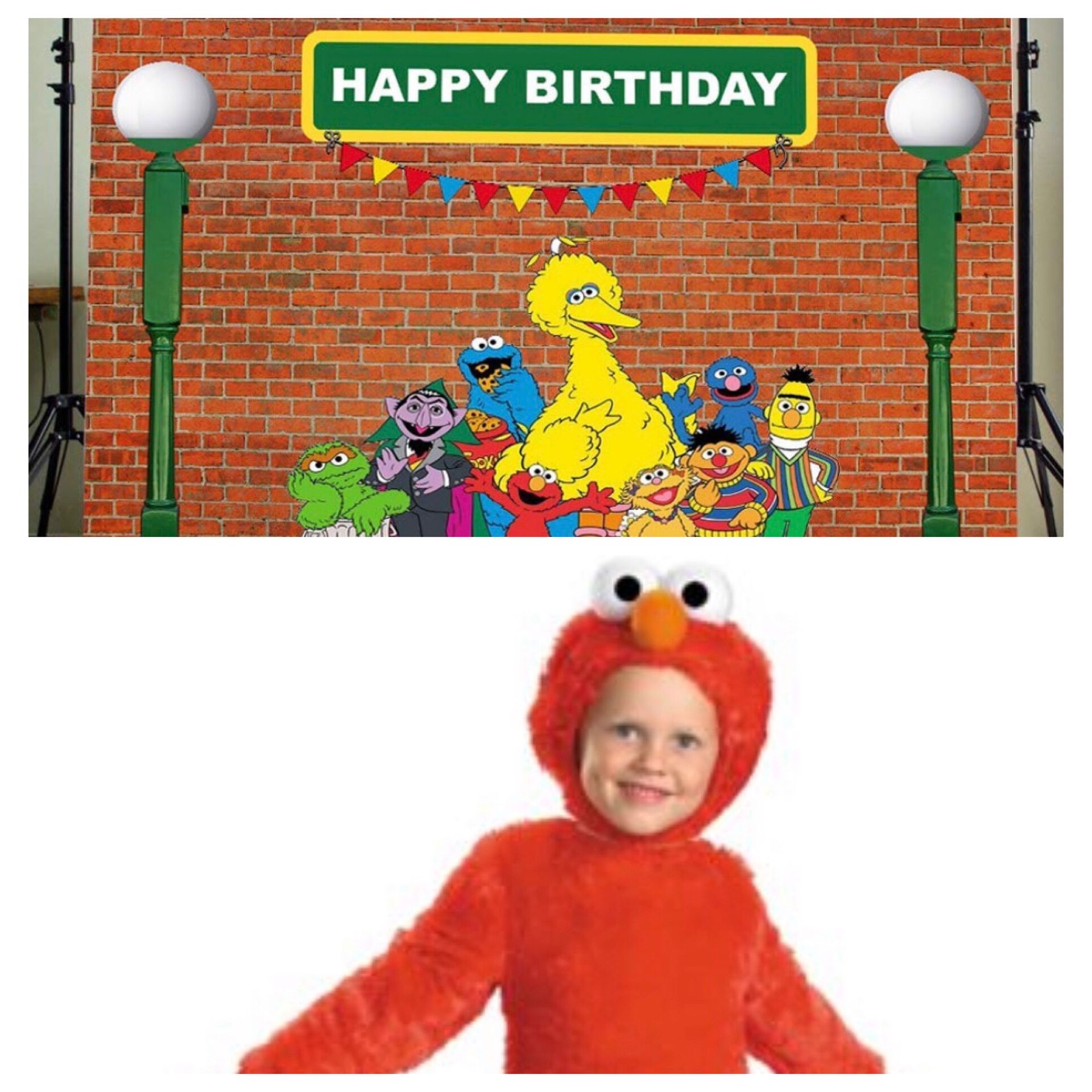 Sesame Street party backdrop and 2T Elmo costume