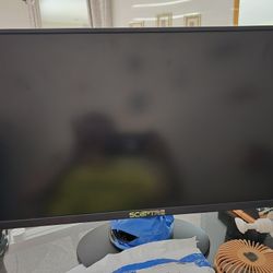 Computer Monitor 24"