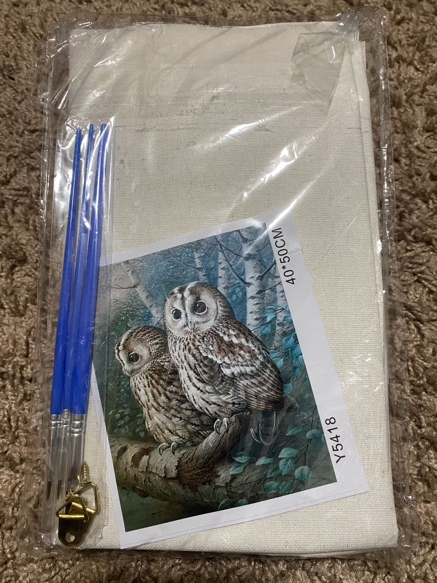 paint-by-numbers kit "The Tawny Owl" artwork by artist Raymond C. Watson