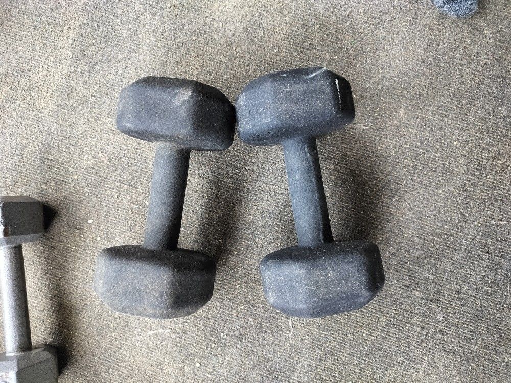 Two 20lbs Dumbbells