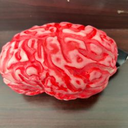 Ashland Halloween Severed Brain Prop – New With Tag
