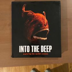 Into The Deep