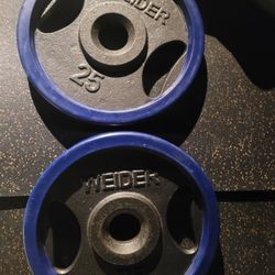 25lbs Weights