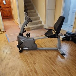 Exercise  Bick