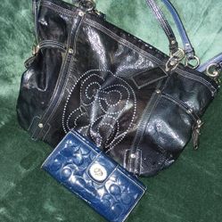 Coach Purse And Wallet Set
