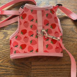 Small Dog/ Cat Harness And Leash