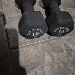 10lbs Dumbells WEIGHTS 