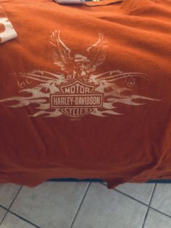 Harley Davidson shirt
