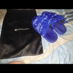 Draco Slides 