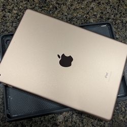 iPad (7th gen)